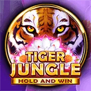 Hình ảnh minh họa liên hệ với Cán bộ bảo vệ dữ liệu của 5esportsclub